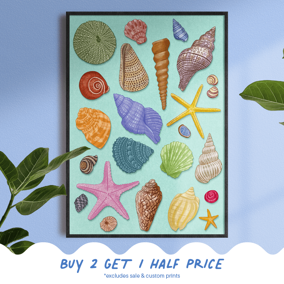 'Seashells' Print