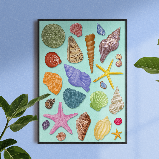 'Seashells' Print